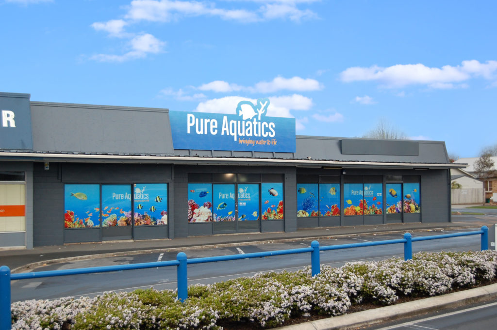 Pure Aquatics Shop Front