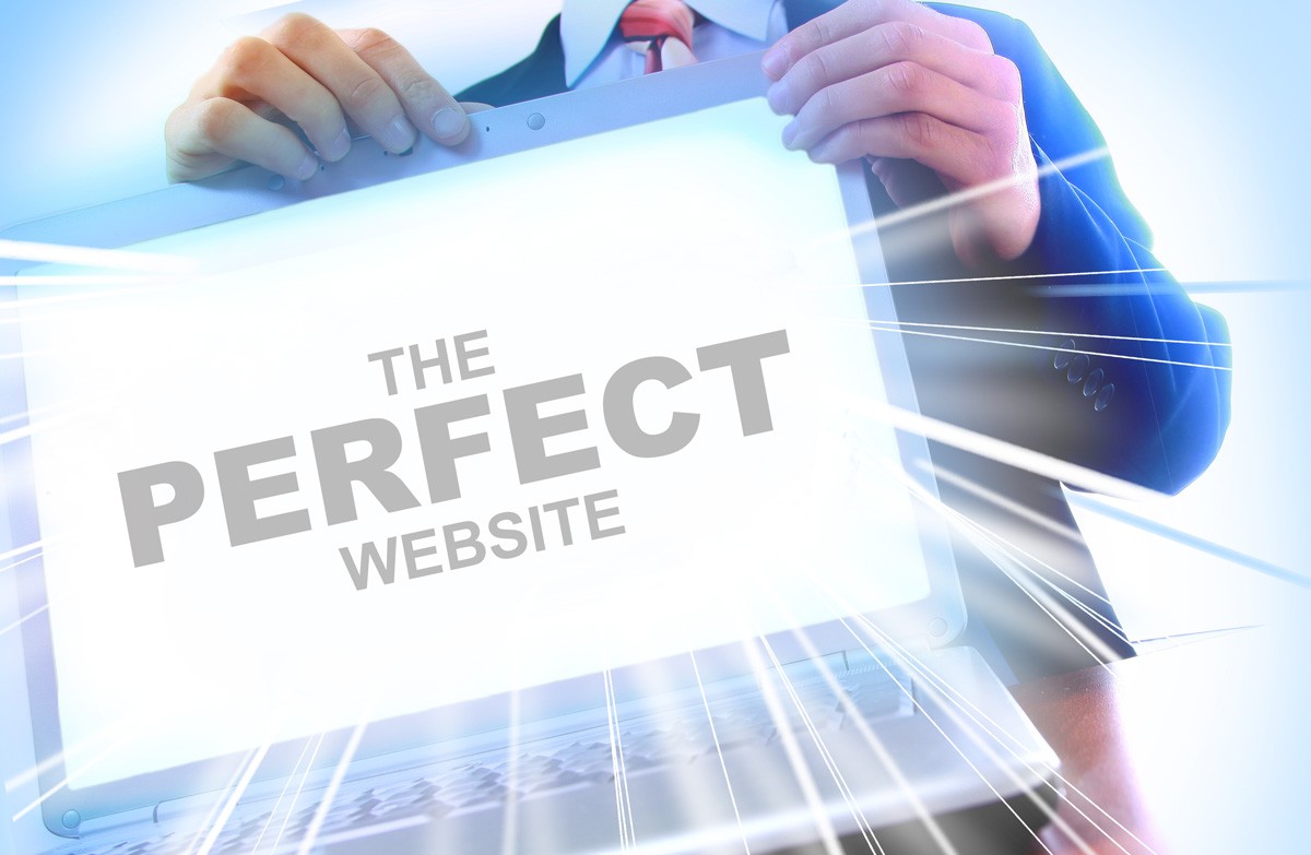 developing the perfect website